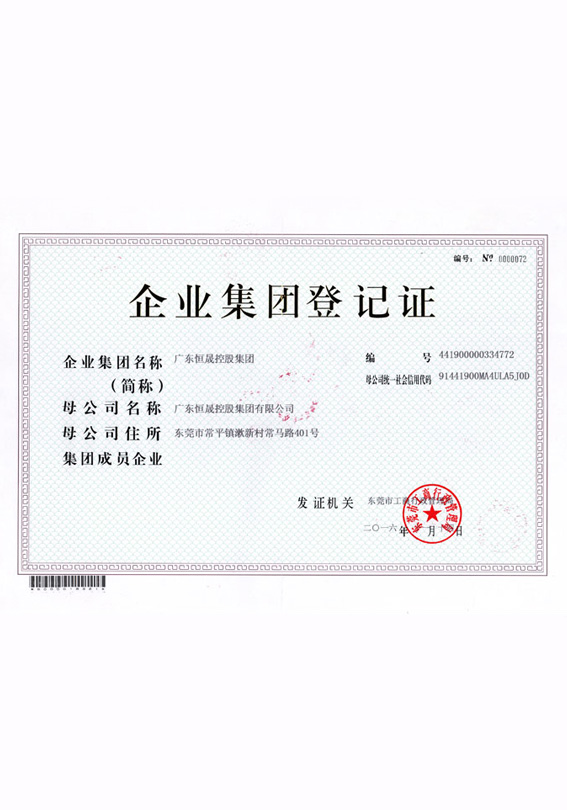 广东恒晟控股集团登记证